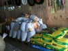 Selling HAY, CHAFF, POULTRY FEEDS,  PET MEATS AVAILABLE